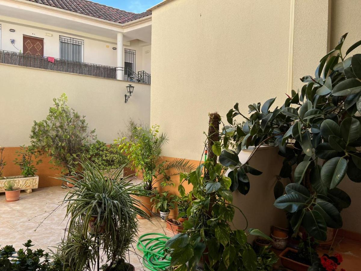 Apartamento Duplex El Tinte قرطبة المظهر الخارجي الصورة